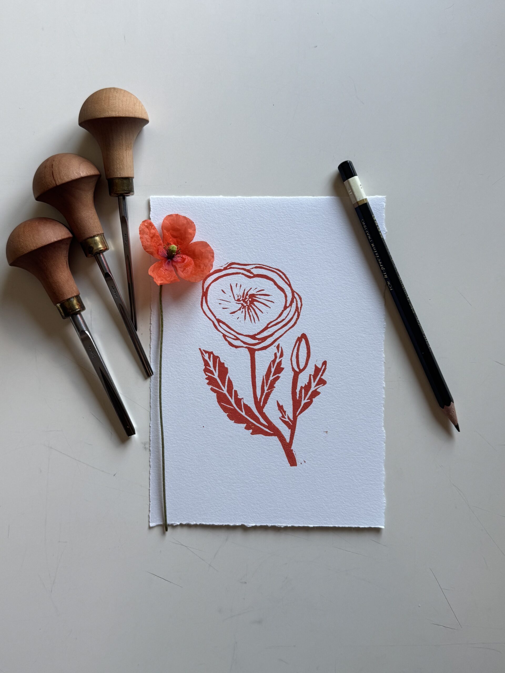 Poppy - Hand Carved Floral Linocut Art - Image 2