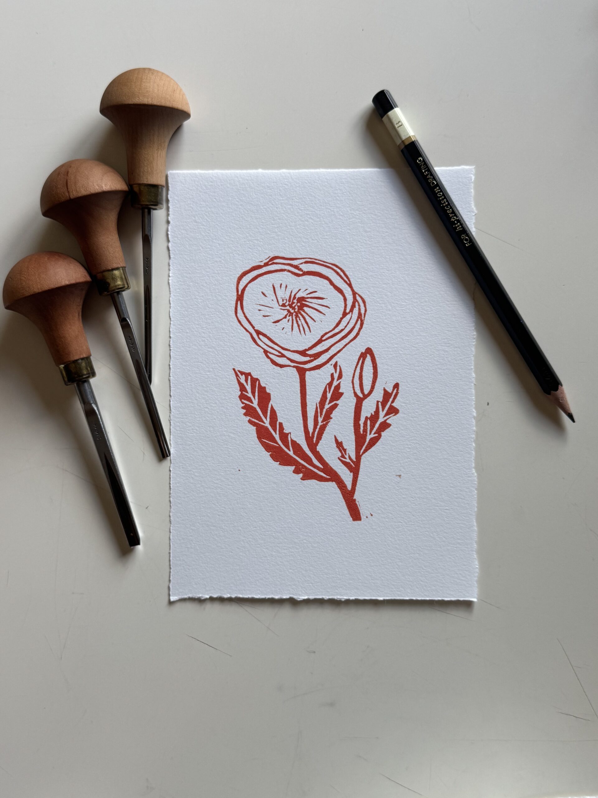 Poppy - Hand Carved Floral Linocut Art - Image 4