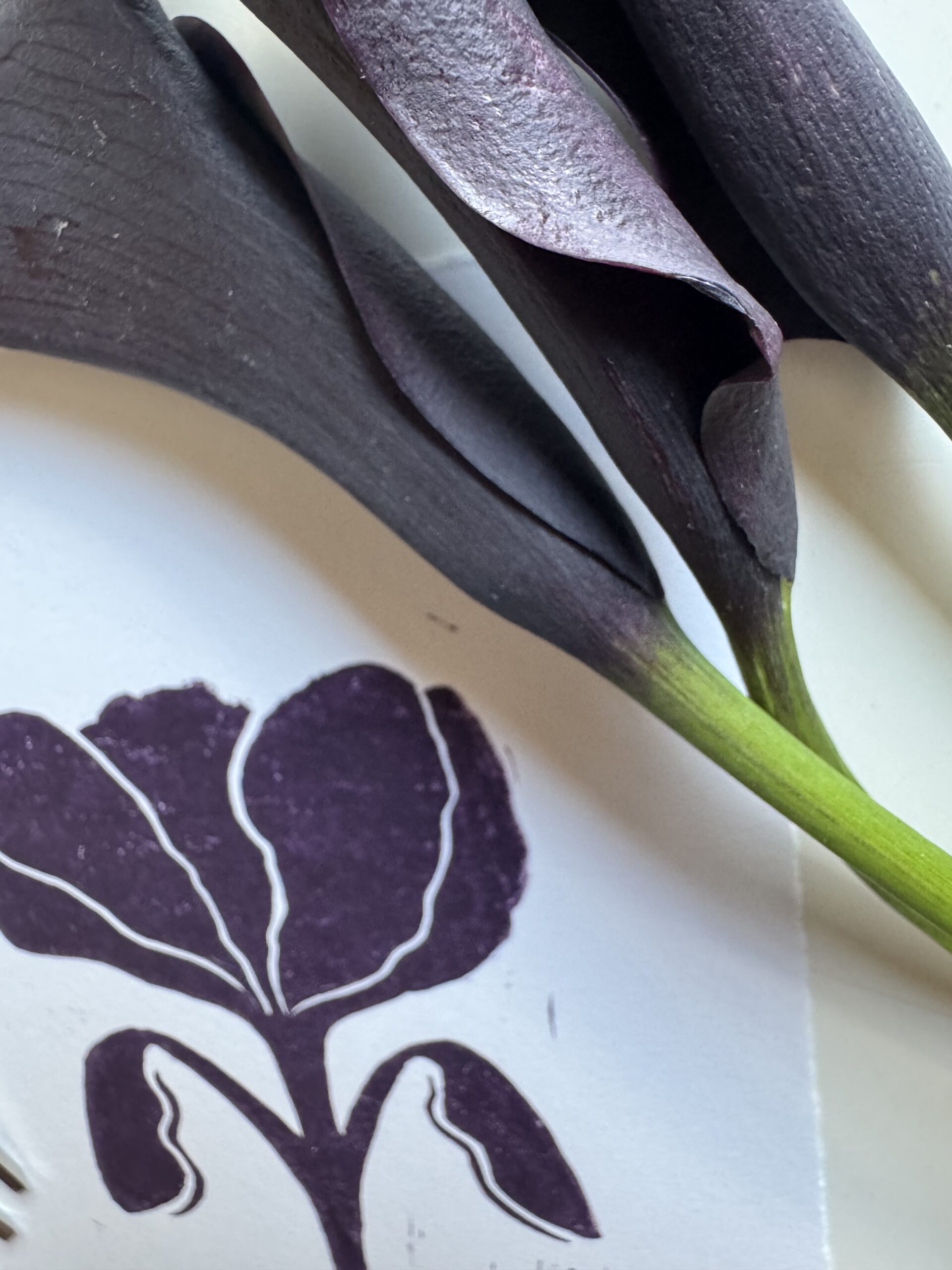 Bloom in Plum - Hand Carved Floral Linocut - Image 3