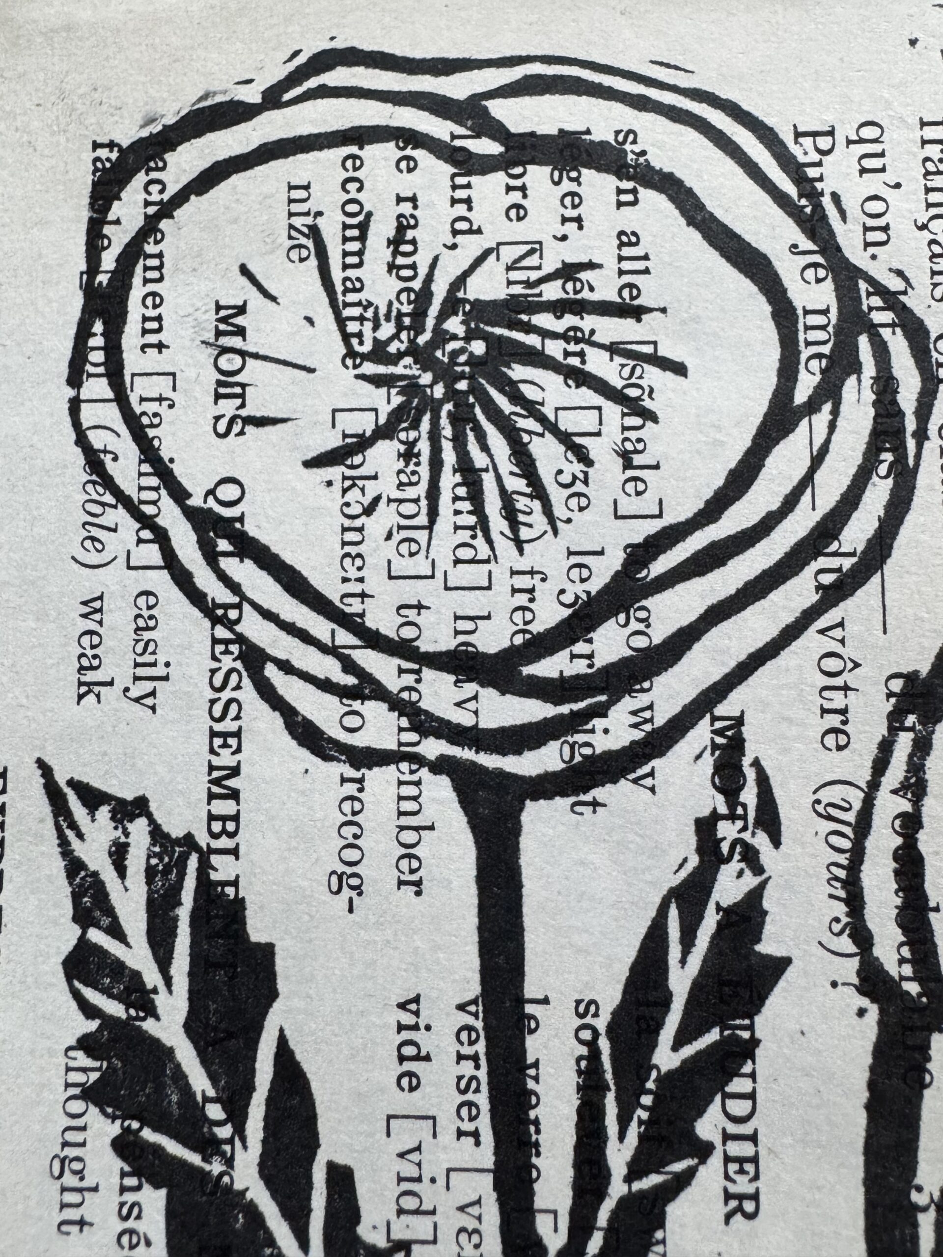 Poppy - Hand Carved Floral Linocut Art - Image 5